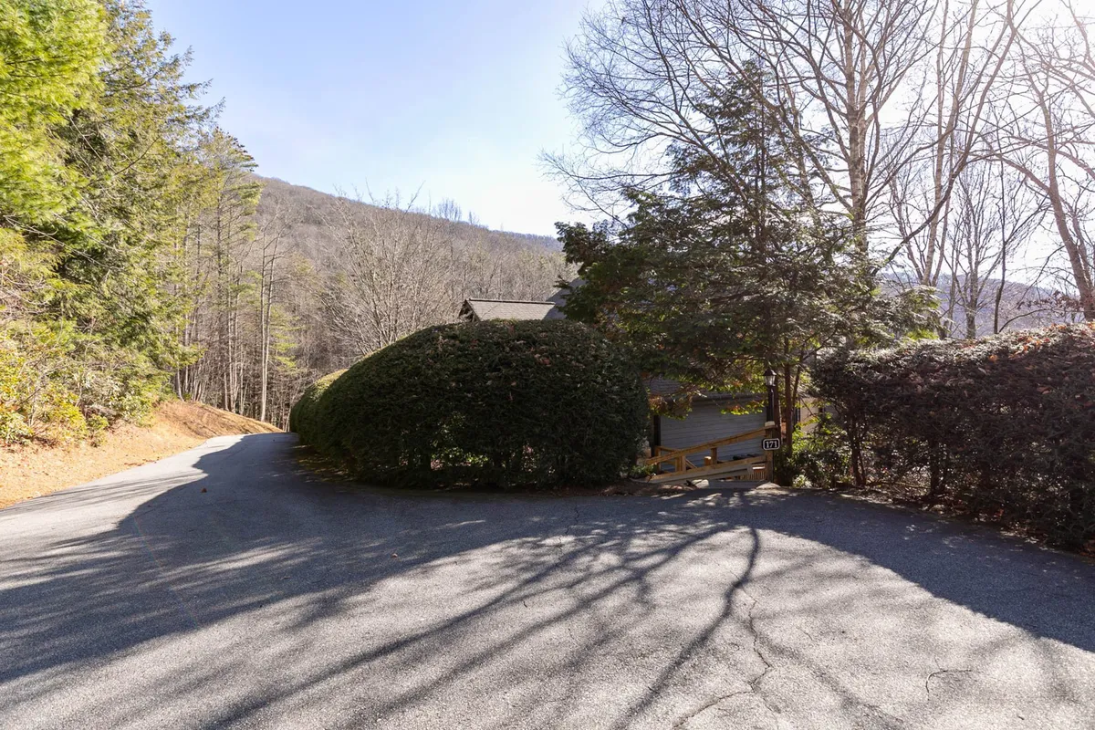 This image displays the peaceful setting surrounding the home, with a curved driveway bordered by trees and lush bushes. It showcases the quiet, natural neighborhood, evoking a sense of privacy and connection to nature—perfect for families seeking both fun and serenity.