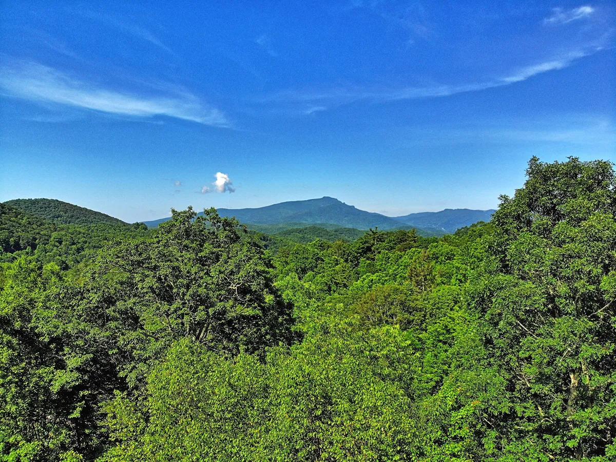 A sweeping view of the Blue Ridge Mountains, featuring a vast mountain range covered in dense forest under a clear blue sky. The image captures the type of breathtaking scenery and panoramic vistas described in the section, evoking a sense of adventure and natural wonder.